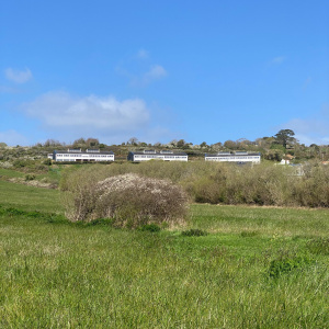 IMG-20260330-WA0071