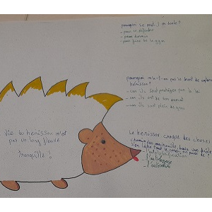 QCM - la vie du hérisson…