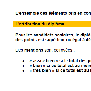 info document