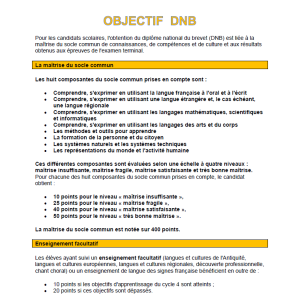 info document