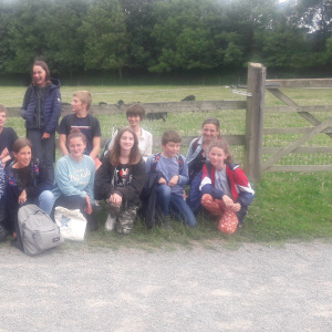 Le groupe devant les moutons d'Ouessant