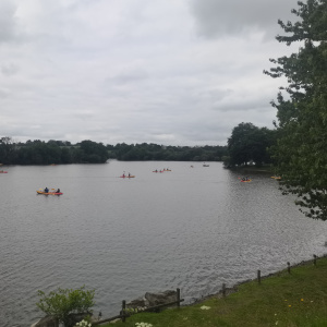 IMG_20260520_152424