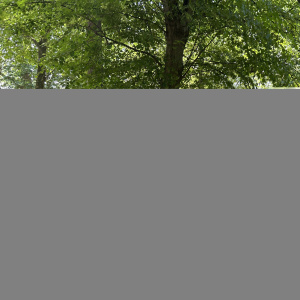 25-06-17 12-32-29 0232