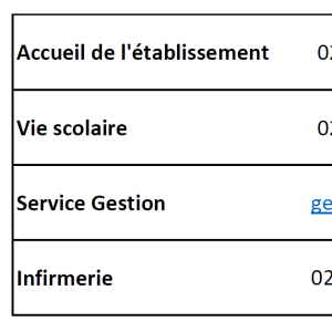 info document