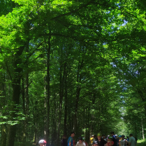 PHOTO-2023-05-31-16-59-47(1)