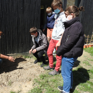 Comment bien planter ?