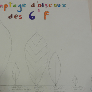 Réalisé par Jade, Léo, Elyam et Néva