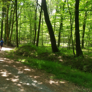 PHOTO-2023-05-31-16-59-48