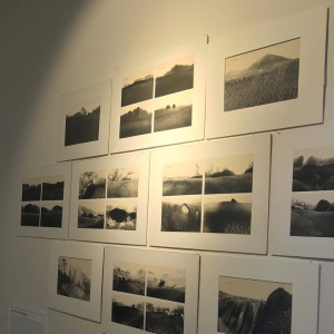 Ce ne sont pas des photos !