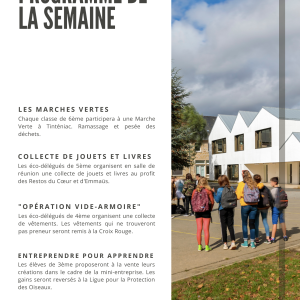 info document