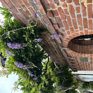 25-06-20 11-49-39 0394