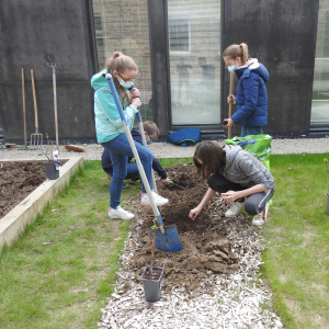 Là, on prépare les trous pour les plants…