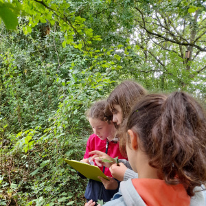 « Mais, c'est quoi cet arbre ? »