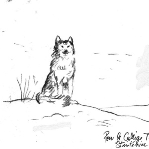 Chien dans la neige_page-0001