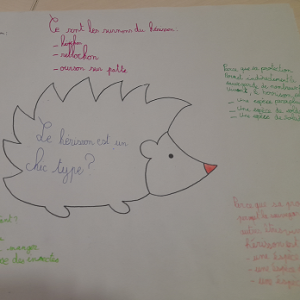 QCM Le hérisson est un chic type !