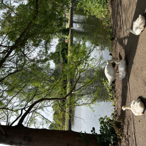 25-06-20 10-51-45 0385