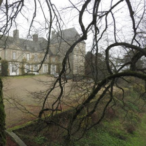 Le château de Montmuran vu du tilleul