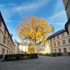 Ballade dans Bamberg (jeudi 17/10) - Dans la cours de l'université