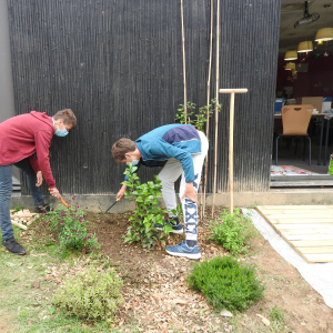 Les planteurs